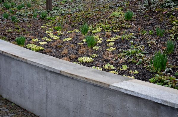 Concrete Wall Construction in Meridian