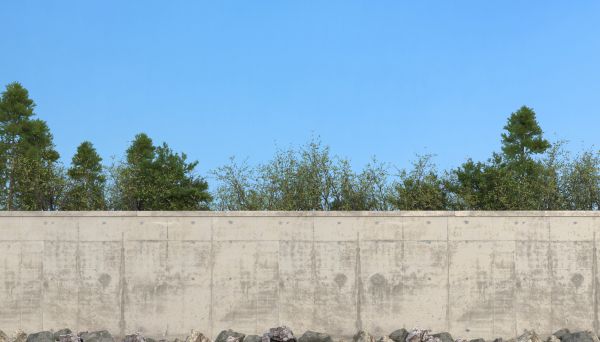 Privacy Wall Construction in Meridian