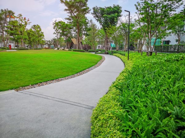 Cement Walkway Service in Meridian