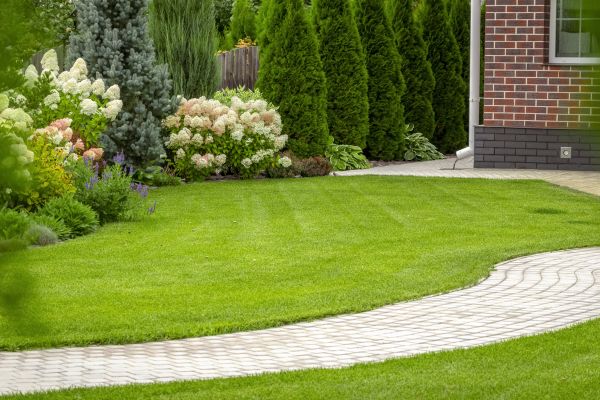 Landscape Walkway Installation in Meridian